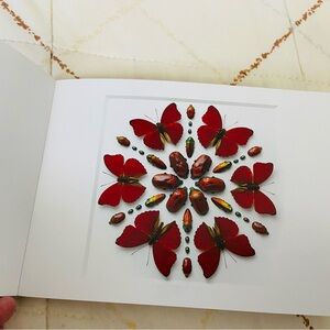 Postcard - Sangaris Prism from Biophilia: Art of Christopher Marley